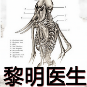 黎明醫生-機器人瓦力-神秘kook