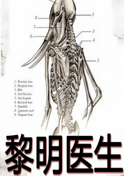 黎明醫(yī)生-機器人瓦力-神秘kook