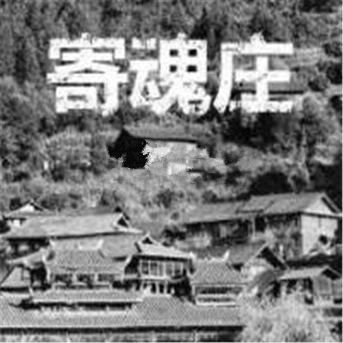 寄魂庄-佚名-尚儒文化