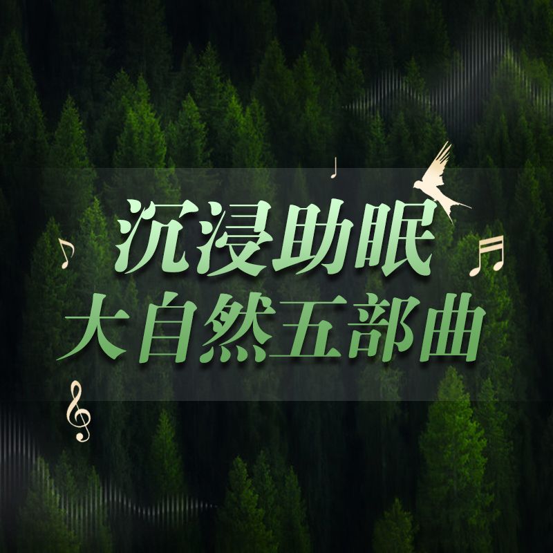 【沉浸助眠】大自然五部曲-雷雨森林
