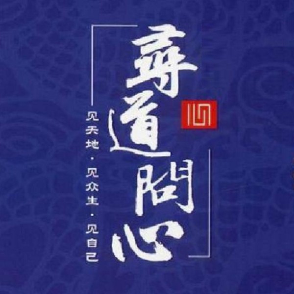 寻道问心修行实录