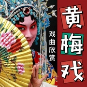 黄梅戏丨传统地方戏曲-佚名-酒酒有声