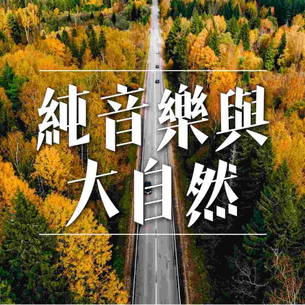 纯音乐与大自然白噪音的交织