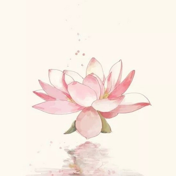 心经 金刚经|读诵
