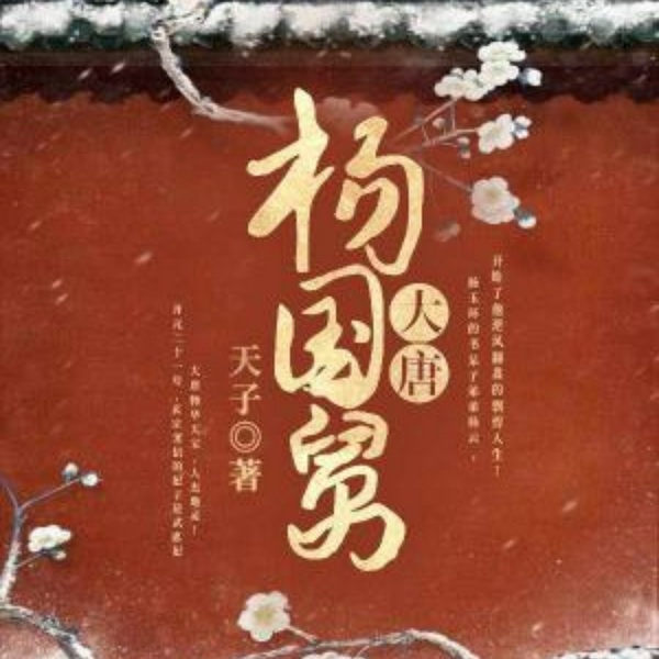 大唐杨国舅|超能穿越权谋|精品多播|李佳昊演播