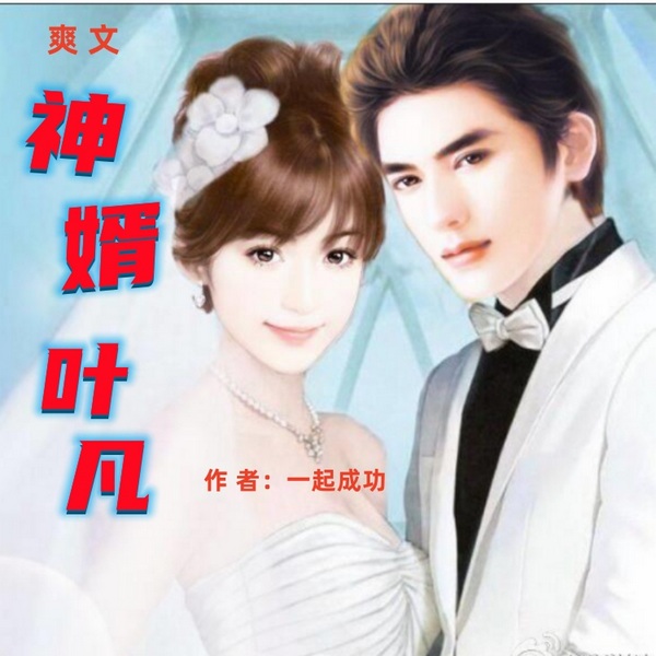 神婿叶凡|都市传奇 男主逆袭|爽文