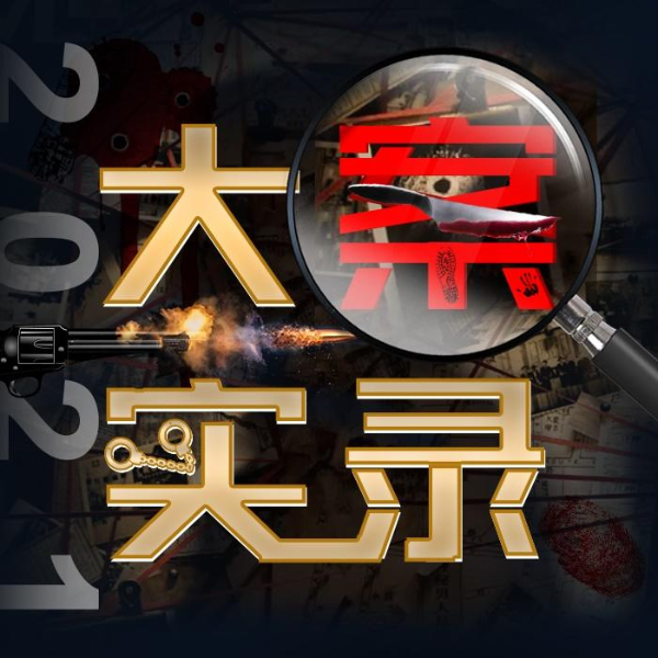 《大案实录2021-法不容情》
