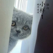 小样1--蜗牛波波