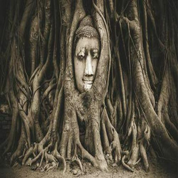 我在泰国卖佛牌|石头播讲
