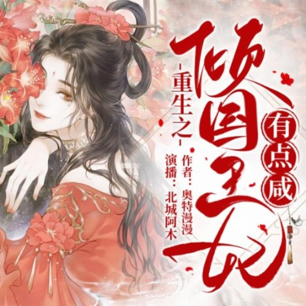 重生之倾国王妃有点咸