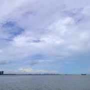 敏时大观-敏时大观-敏时大观-佚名