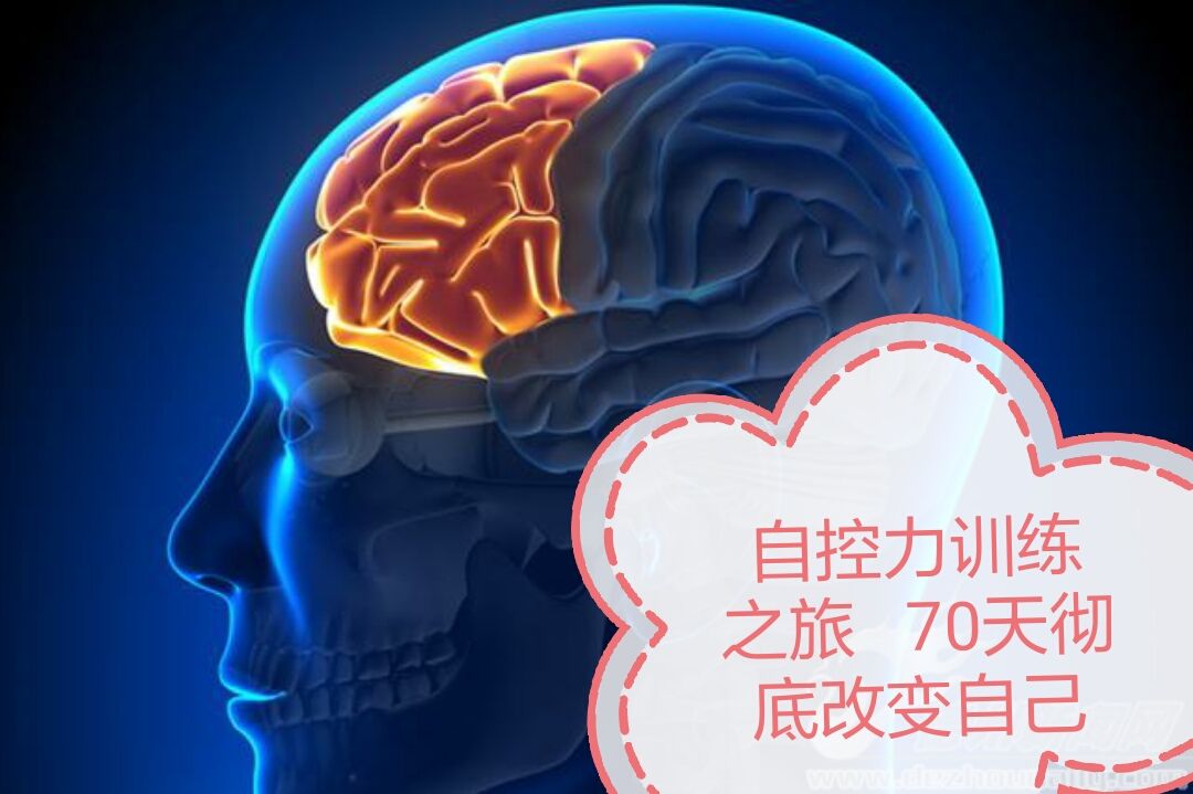 自控力训练70天
