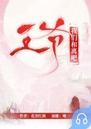王爷，我们和离吧-佚名-畅读书城