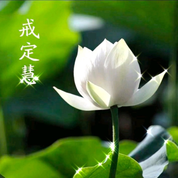 定慧基础