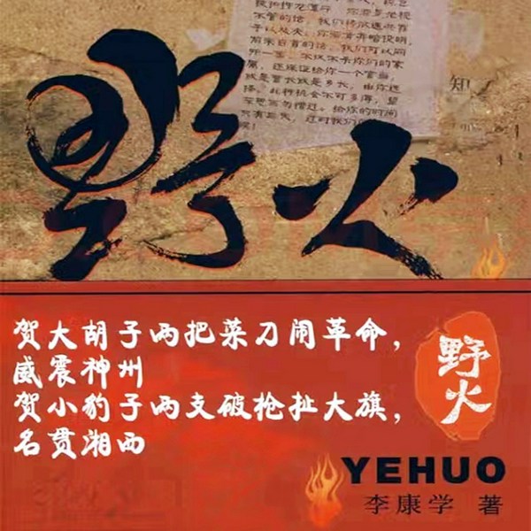 野火|湘西/揭秘湘鄂边游击队/贺龙.贺文慈|红军.长征.红二六军团