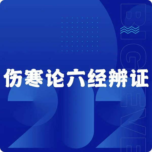 伤寒论六经辨证速成