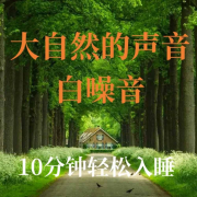 大自然的声音白噪音|10分钟轻松入睡--晚安-