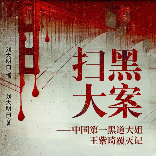 中国第一黑道大姐王紫琦覆灭记|扫黑大案