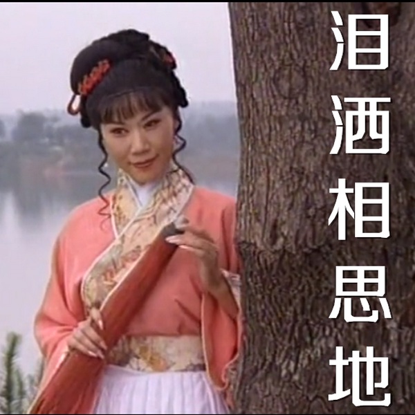 《泪洒相思地》|[豫剧|全集精选片段]
