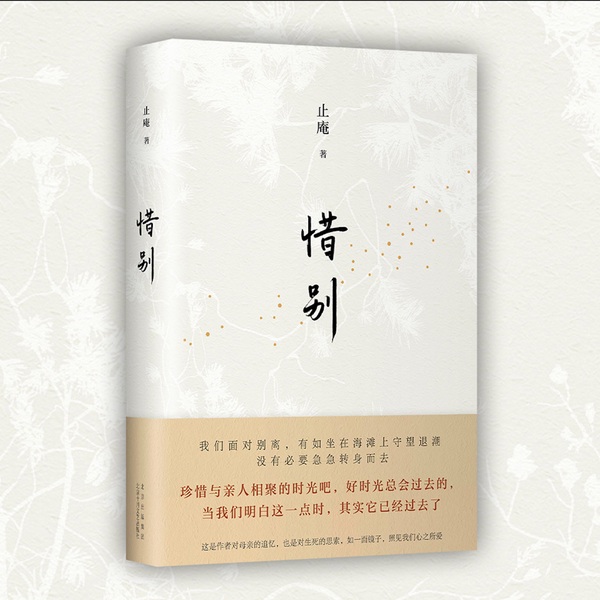 惜别|直视生死,中年人对母亲的泪目送别