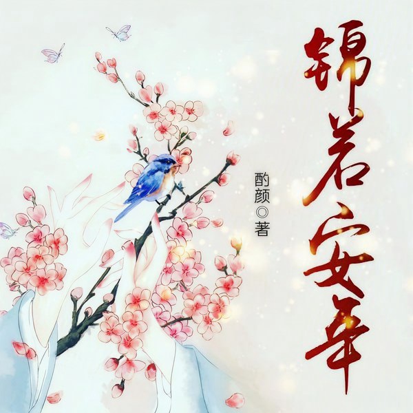 锦若安年