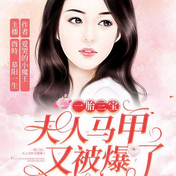 一胎三宝:夫人马甲又被爆了