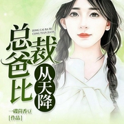 总裁爸比从天降-一碟茴香豆-若看有声，播音斐然，王礼礼