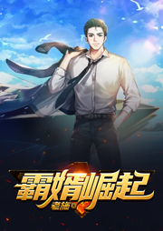 霸婿崛起|上部完结-老施-徐柯