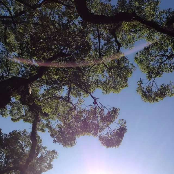 从自恋中华丽转身