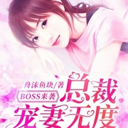 BOSS来袭：总裁宠妻无度-佚名-疯读有声，大黄蜂蜂