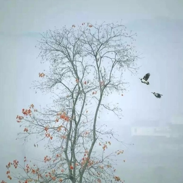 《至道学宫时论杂谈》