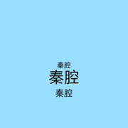 秦腔专辑--熊猫人小胖