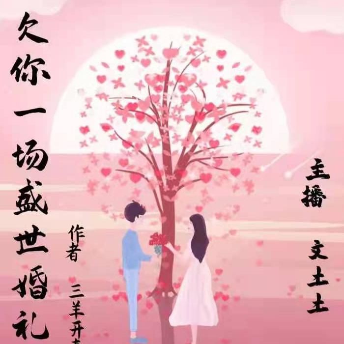 欠你一场盛世婚礼-佚名-文土土