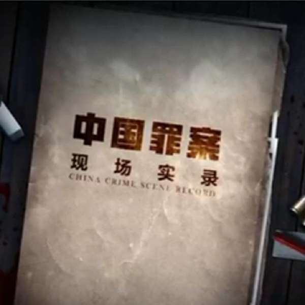 罪案现场实录-第一季