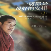 一切都是最好的安排3--长一兮-