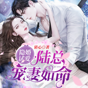 隐婚试爱：陆总宠妻如命-佚名-落尘文学