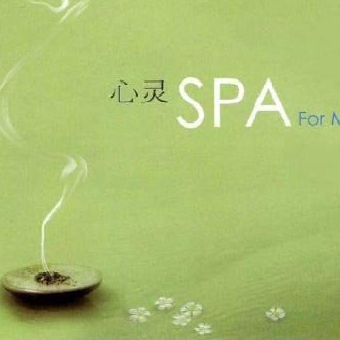 心灵SPA/给你心灵按摩的美文--有声无名-