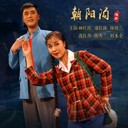 豫剧《朝阳沟》|杨红霞|盛红林-佚名-东方大剧院
