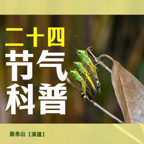 二十四节气科普|国学启蒙|24节气养生|节日民俗