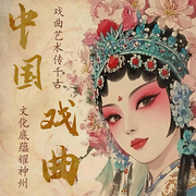 戏曲--DNS一明