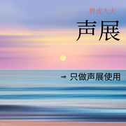 试音-胖虎大大-胖虎大大2