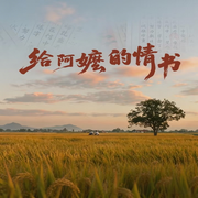 给阿嬷的情书|口碑天花板之谜|影视解说-蓝鸿春-阅枫文化