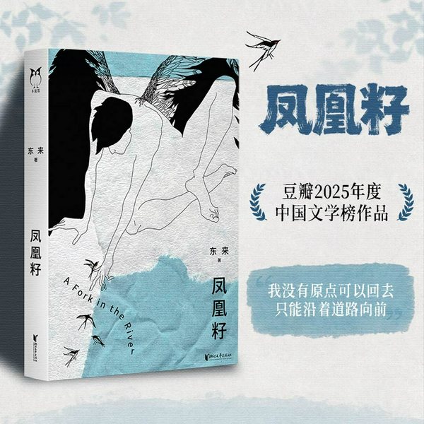 凤凰籽|东来作品|小镇做题家x变形记x互换人生|迁徙一代