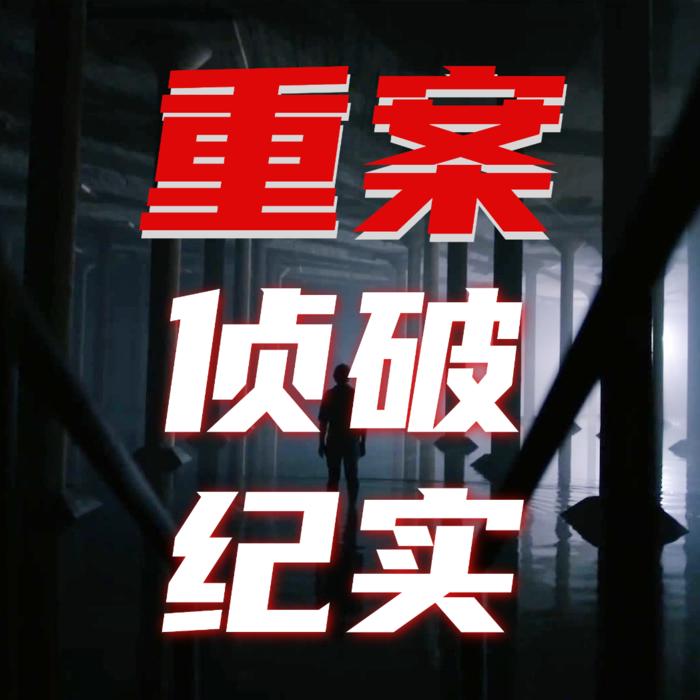 重案侦破现场--老黄故事-佚名