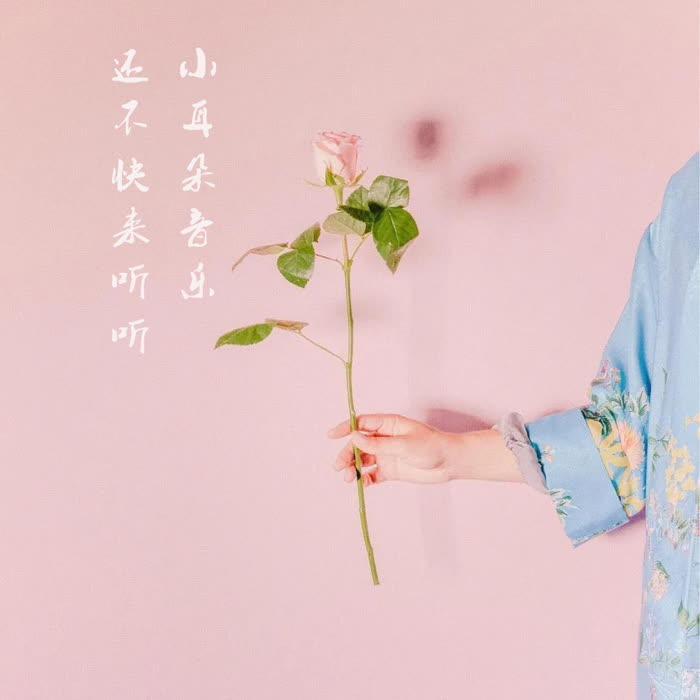 小耳朵音乐--NJ小情绪_12053593-
