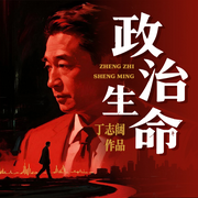 政治生命|情场暧昧|职场反杀|危机逆袭-丁志阔-阅米文化