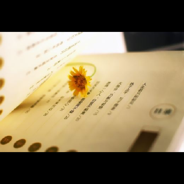读书的艺术