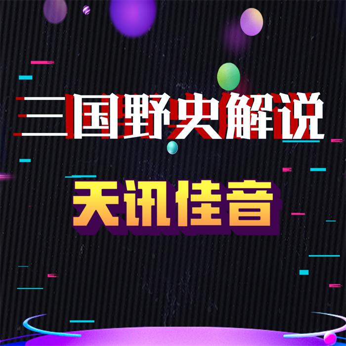 三国野史解说-佚名-天讯佳音