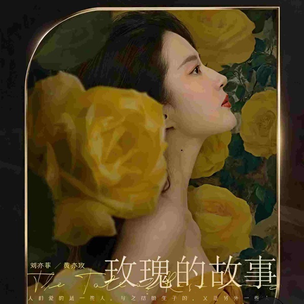 玫瑰的故事|电视剧原声