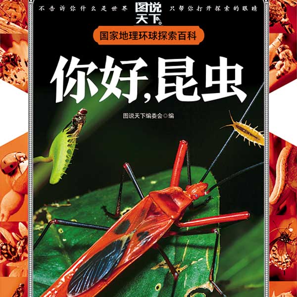 儿童百科全书：你好，昆虫
